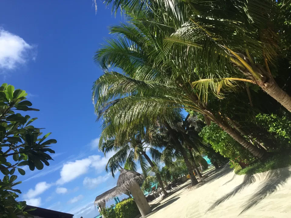 Photo of Anantara Dhigu Resort & Spa, Maldives, Kaafu Atoll, North Central Province, Maldives by Lisa 