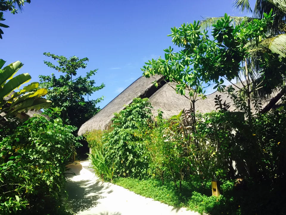 Photo of Anantara Dhigu Resort & Spa, Maldives, Kaafu Atoll, North Central Province, Maldives by Lisa 