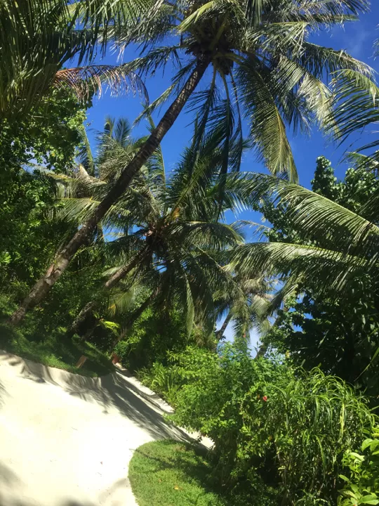 Photo of Anantara Dhigu Resort & Spa, Maldives, Kaafu Atoll, North Central Province, Maldives by Lisa 