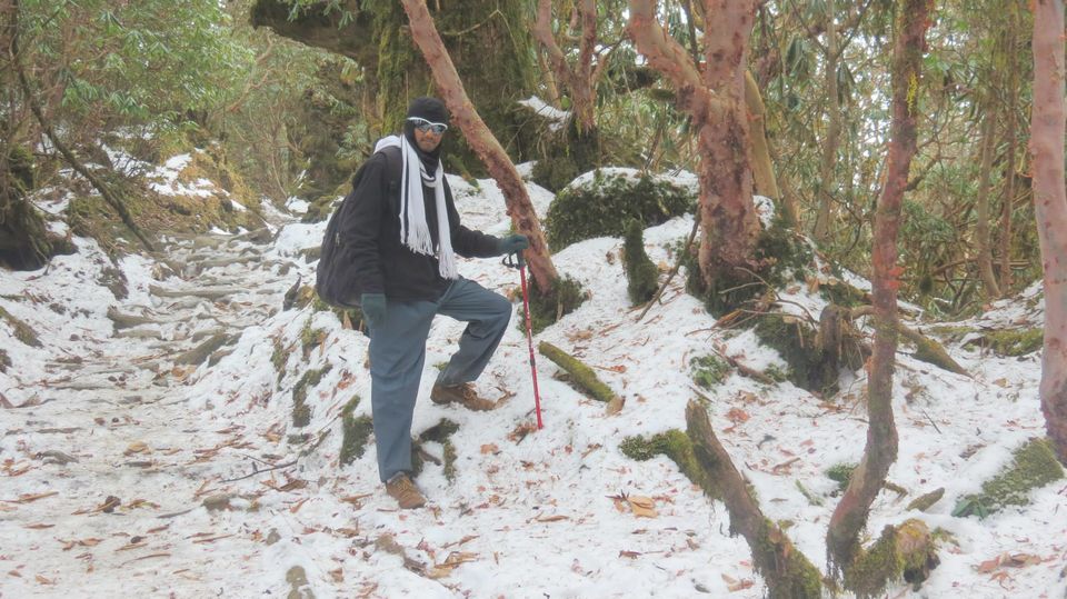 Photo of The Great Himalayan Diaries! In the search of holy Kangchenjunga by Jaswanth Jagadeesh Insta: #jaswantravels
