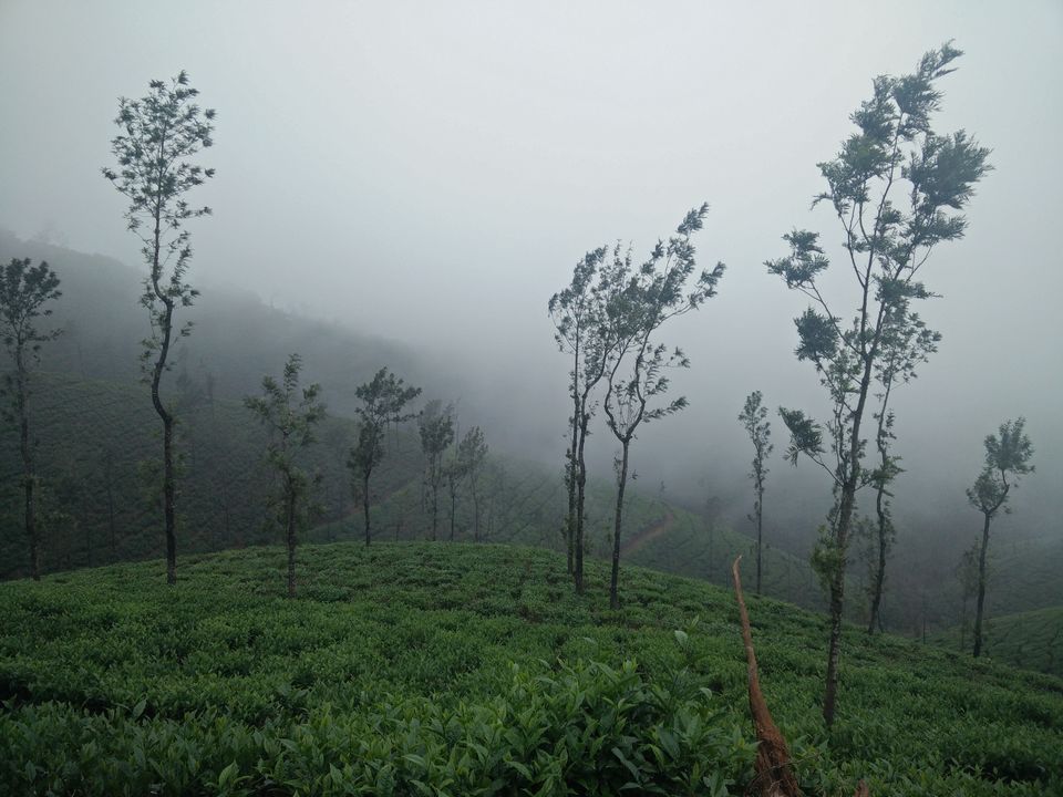 Photo of You always have something unique in store: Kelagoor 16/68 by Jaswanth Jagadeesh Insta: #jaswantravels