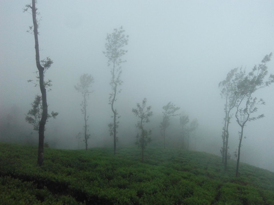 Photo of You always have something unique in store: Kelagoor 18/68 by Jaswanth Jagadeesh Insta: #jaswantravels