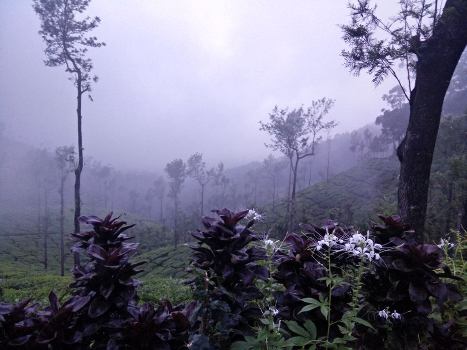 Photo of You always have something unique in store: Kelagoor 20/68 by Jaswanth Jagadeesh Insta: #jaswantravels