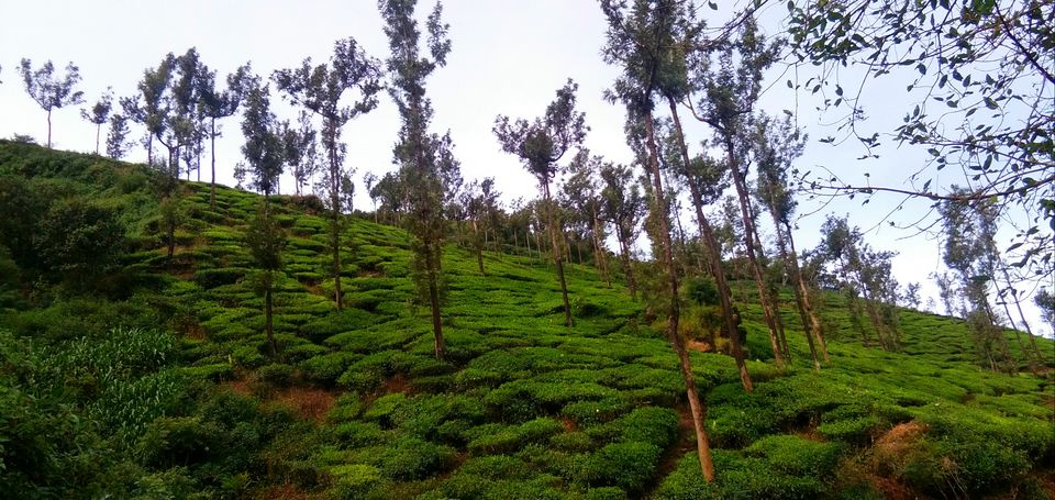 Photo of You always have something unique in store: Kelagoor 27/68 by Jaswanth Jagadeesh Insta: #jaswantravels