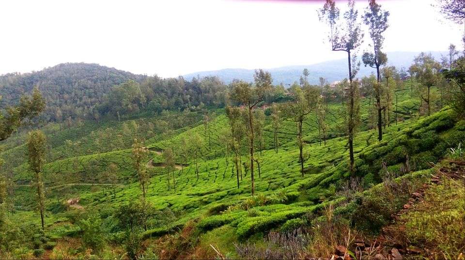 Photo of You always have something unique in store: Kelagoor 28/68 by Jaswanth Jagadeesh Insta: #jaswantravels
