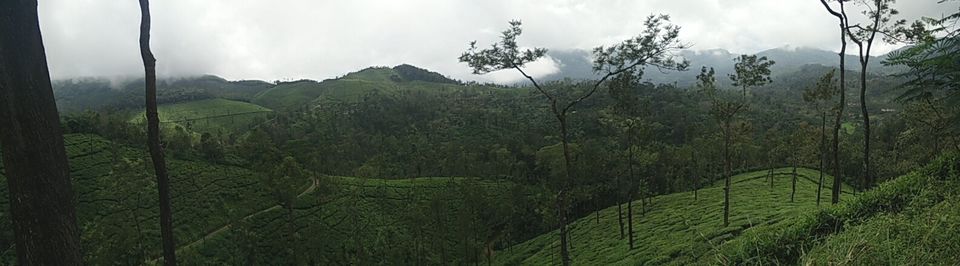 Photo of You always have something unique in store: Kelagoor 38/68 by Jaswanth Jagadeesh Insta: #jaswantravels