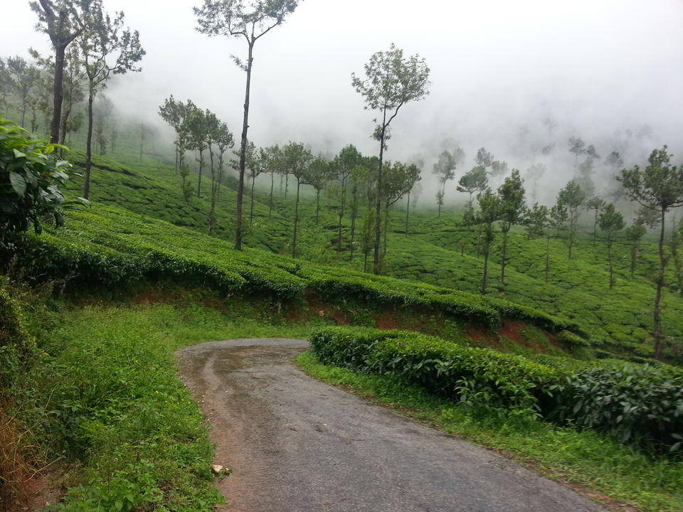 Photo of The Wrong Turn: A Chik(Manglur) Thriller - 12 hours of Horror!! by Jaswanth Jagadeesh Insta: #jaswantravels