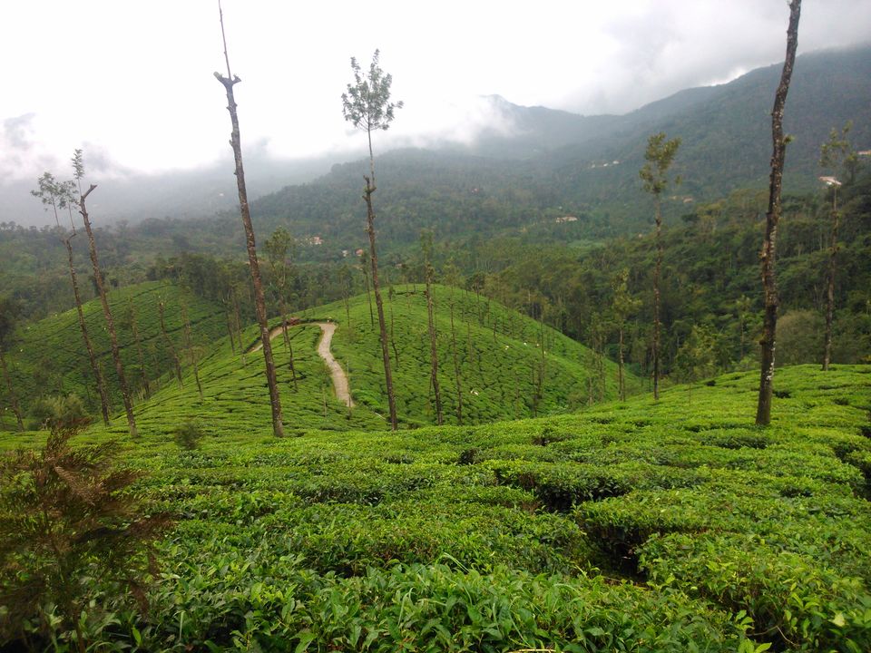 Photo of The Wrong Turn: A Chik(Manglur) Thriller - 12 hours of Horror!! by Jaswanth Jagadeesh Insta: #jaswantravels