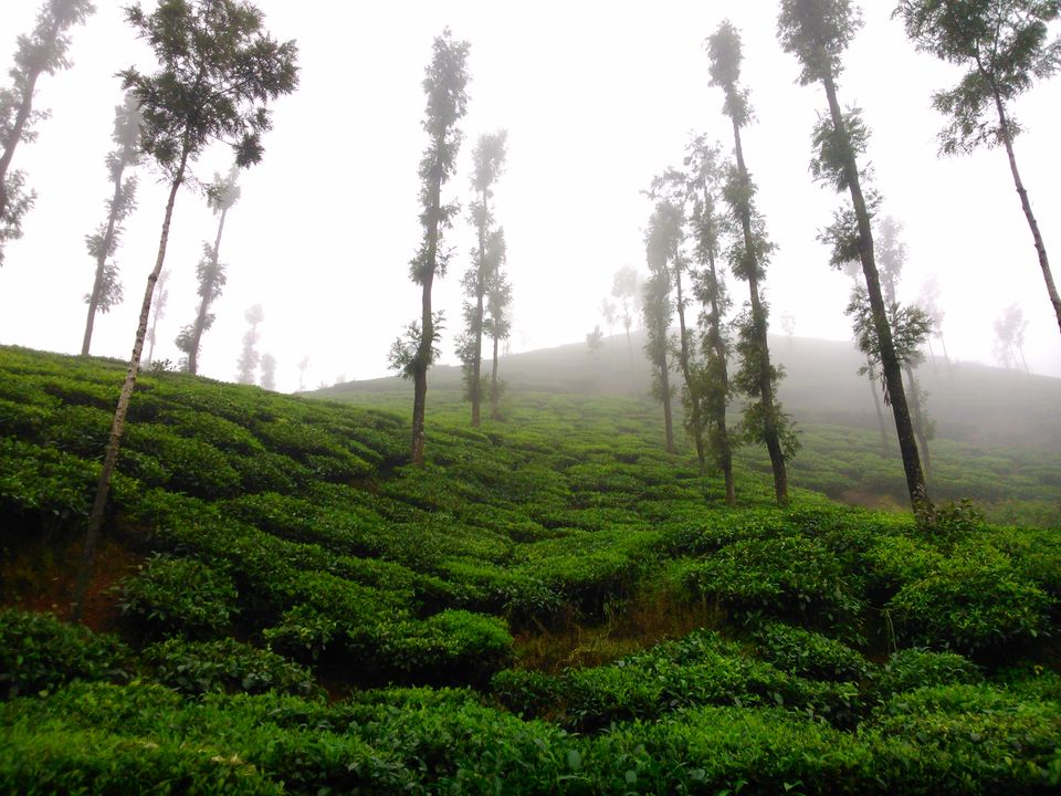 Photo of The Wrong Turn: A Chik(Manglur) Thriller - 12 hours of Horror!! by Jaswanth Jagadeesh Insta: #jaswantravels