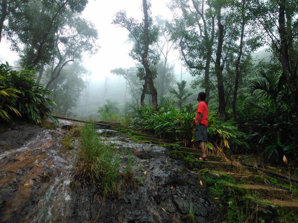 Photo of The Wrong Turn: A Chik(Manglur) Thriller - 12 hours of Horror!! by Jaswanth Jagadeesh Insta: #jaswantravels