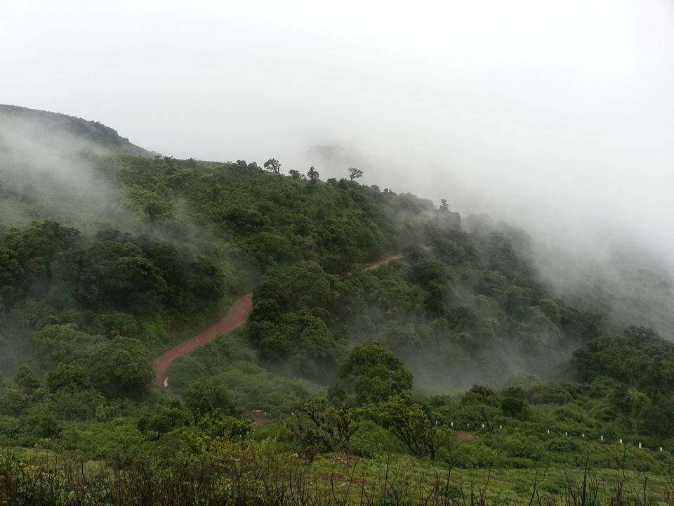Photo of The Wrong Turn: A Chik(Manglur) Thriller - 12 hours of Horror!! 2/28 by Jaswanth Jagadeesh Insta: #jaswantravels
