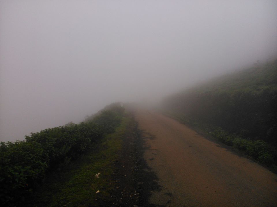 Photo of The Wrong Turn: A Chik(Manglur) Thriller - 12 hours of Horror!! 3/28 by Jaswanth Jagadeesh Insta: #jaswantravels