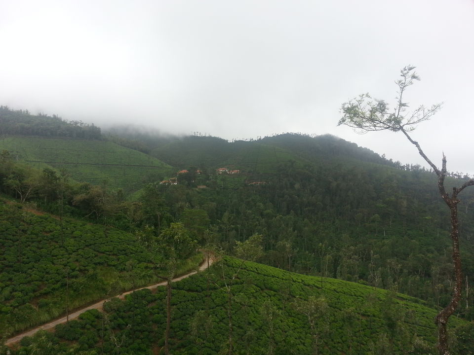 Photo of The Wrong Turn: A Chik(Manglur) Thriller - 12 hours of Horror!! 16/28 by Jaswanth Jagadeesh Insta: #jaswantravels