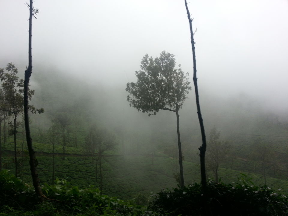 Photo of The Wrong Turn: A Chik(Manglur) Thriller - 12 hours of Horror!! 19/28 by Jaswanth Jagadeesh Insta: #jaswantravels