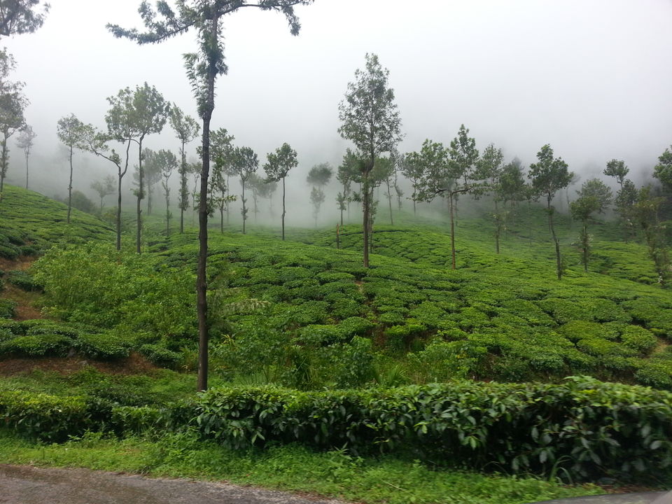 Photo of The Wrong Turn: A Chik(Manglur) Thriller - 12 hours of Horror!! 23/28 by Jaswanth Jagadeesh Insta: #jaswantravels