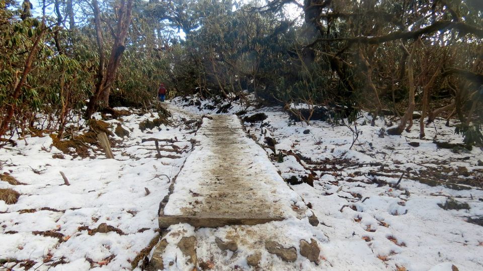Photo of The Great Himalayan Diaries! In the search of holy Kangchenjunga by Jaswanth Jagadeesh Insta: #jaswantravels