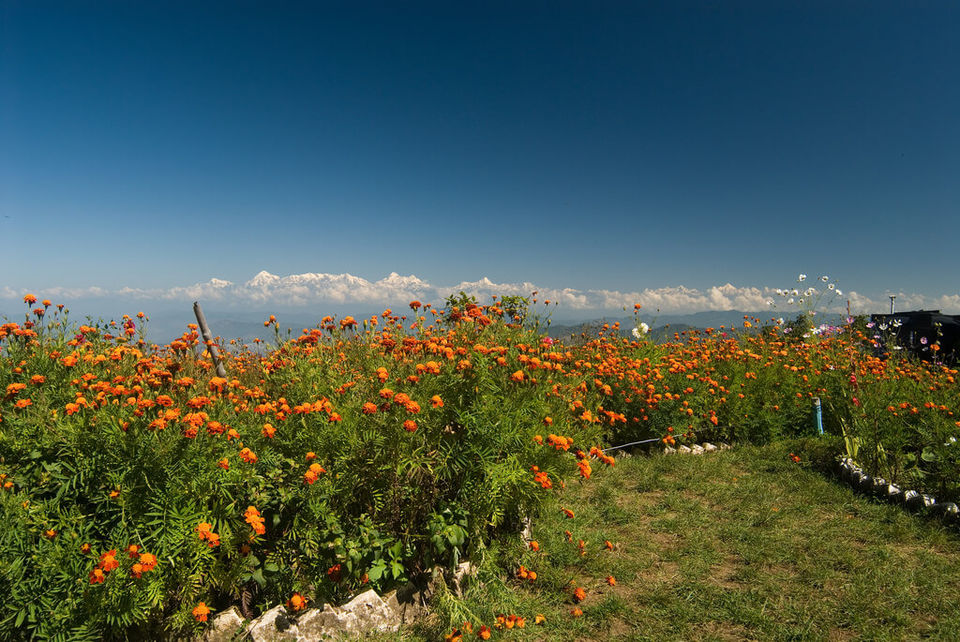 Photo of Top 10 Beautiful Snow Laden Places To Visit In India In December 9/10 by saifkhan