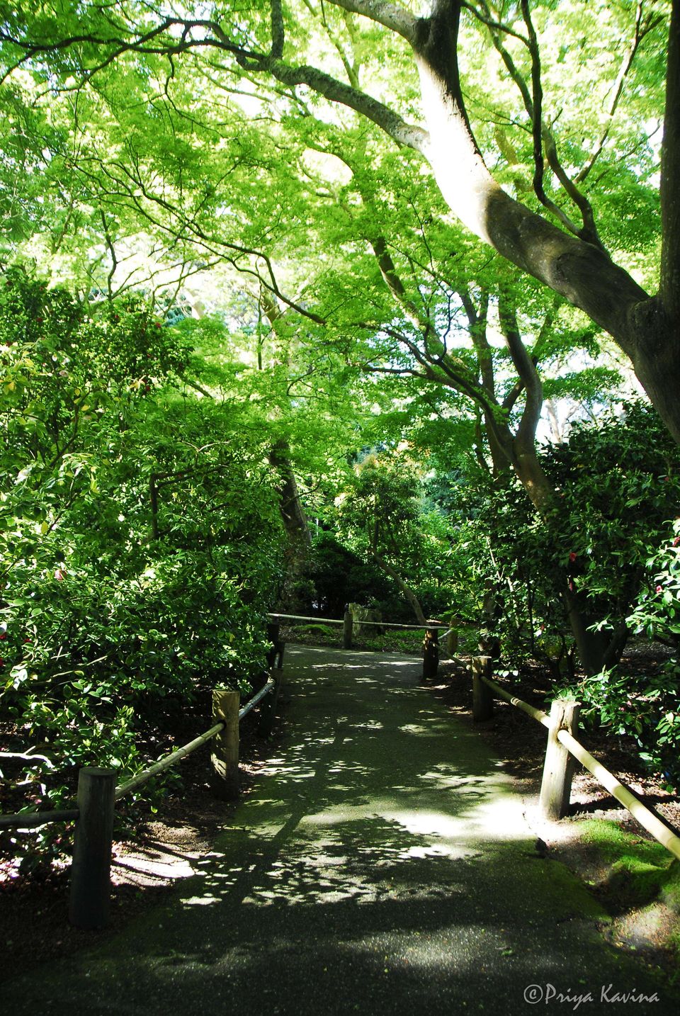 Photo of Where to Find Serenity in San Francisco by KavaraStories