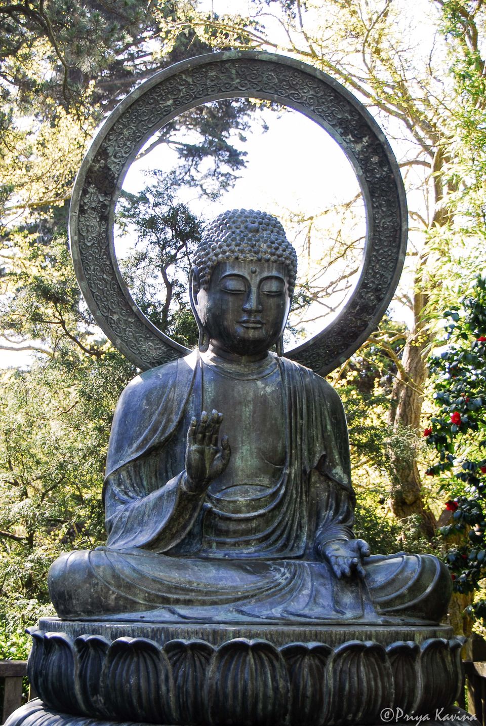 Photo of Where to Find Serenity in San Francisco by KavaraStories