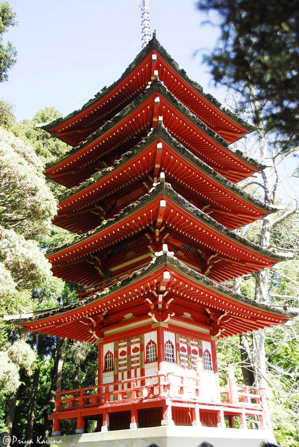 Photo of Where to Find Serenity in San Francisco by KavaraStories