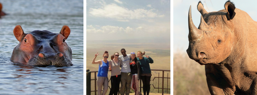 Photo of Classic Tanzanian Safari Adventure 4/4 by Praise Nyange