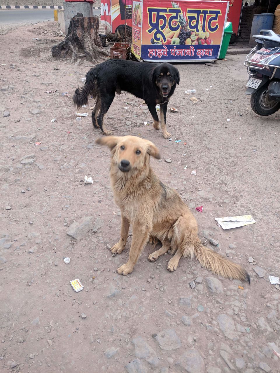 Photo of Chandigarh, India by Sri Harsha Arangi