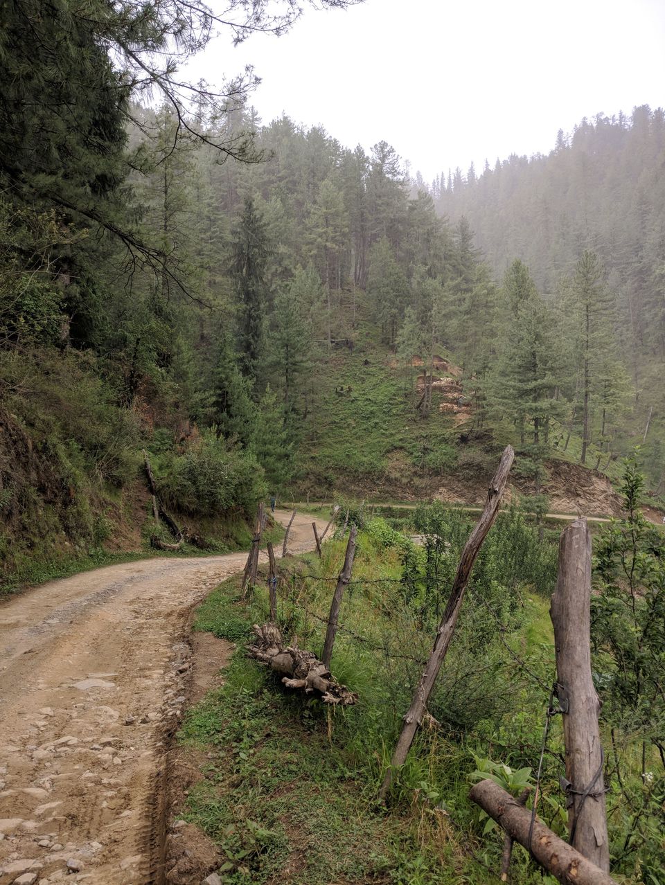 Photo of Narkanda, Himachal Pradesh, India by Sri Harsha Arangi