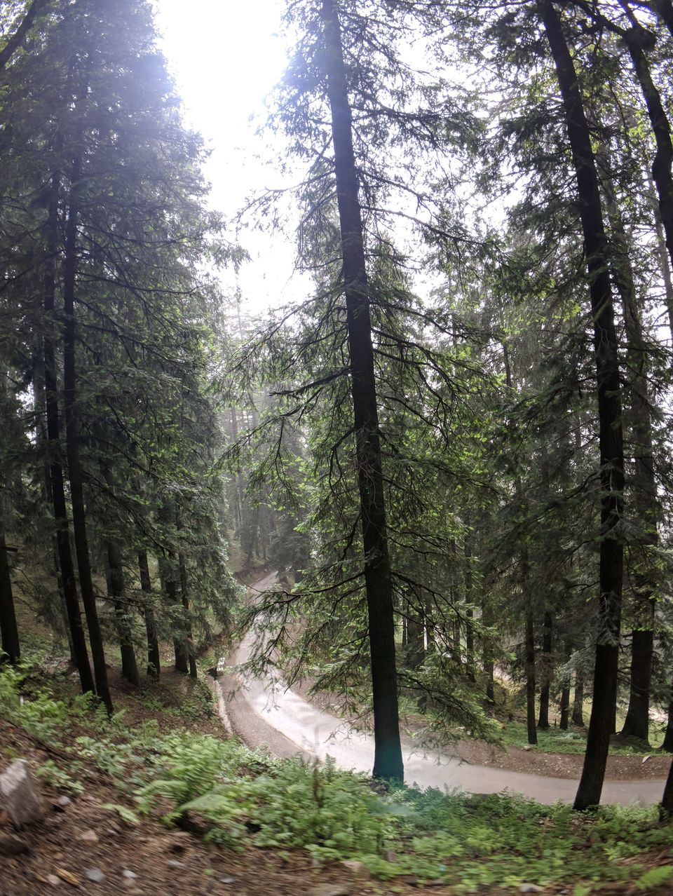 Photo of Hatu Peak, Himachal Pradesh by Sri Harsha Arangi