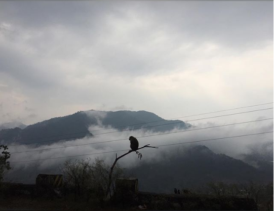 Photo of Get set freeze....! by meenal guglani