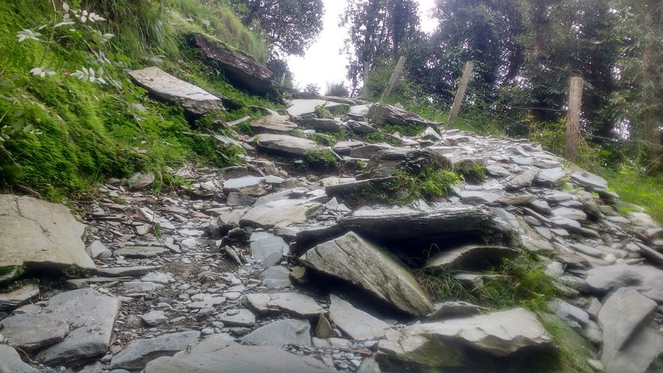 Photo of Triund, Dharamshala, Himachal Pradesh, India by Ravishankar