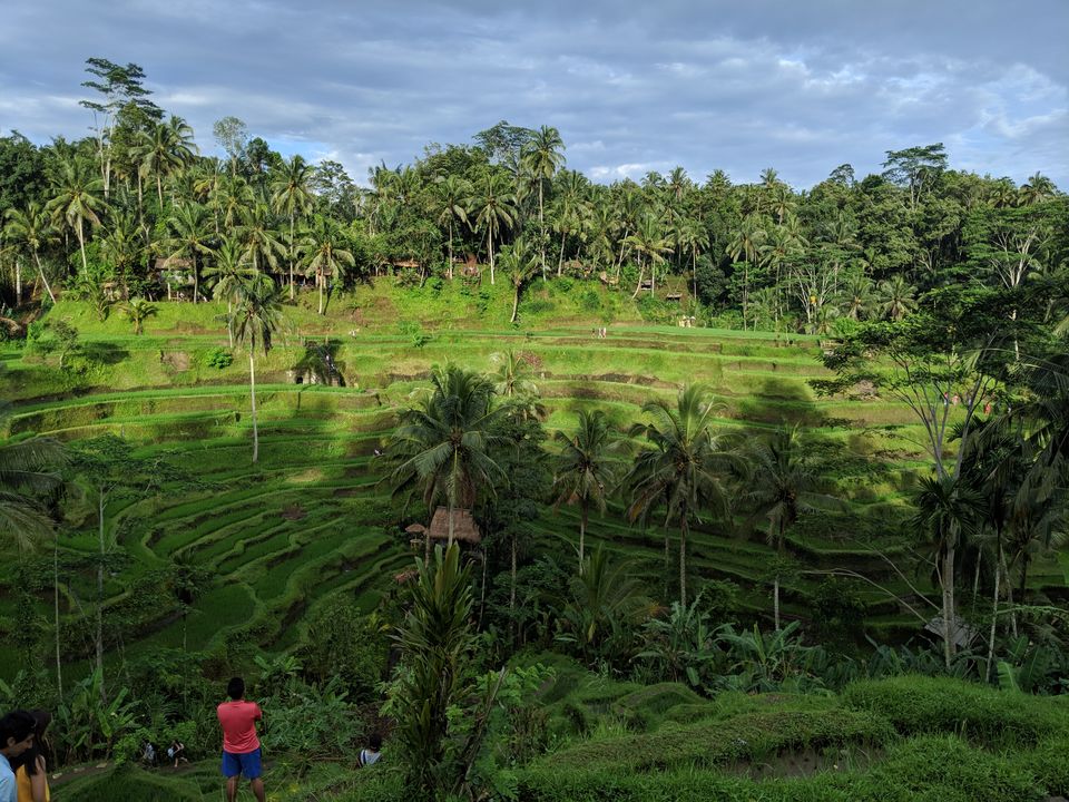 Photo of How we did a luxury Bali trip in less than 95k/couple by Arushi Sachdeva