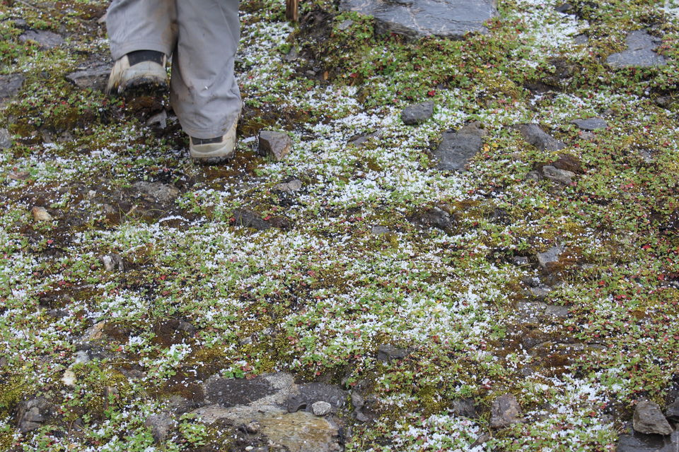 Photo of A Journey That Unraveled Itself – The Bhrigu Lake Trek 4/5 by Sayali Marawar