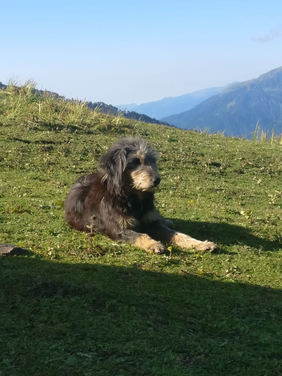 Photo of A Journey That Unraveled Itself – The Bhrigu Lake Trek 5/5 by Sayali Marawar