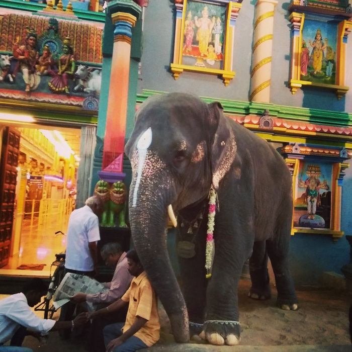 Photo of Pondicherry – A Place to Leave your Inhibitions 15/18 by Priyanka Paranjape