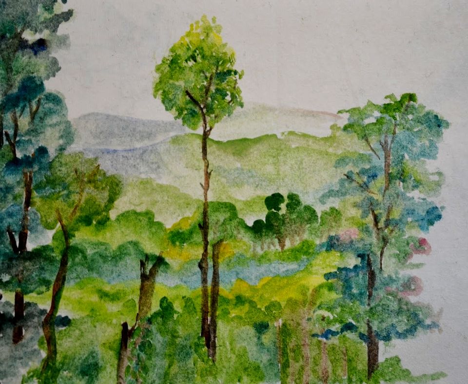 Photo of 6 Delightful Things to do at Honey Valley Estate, Coorg by LonelyCanopy