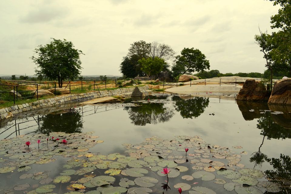 Photo of Lepakshi Nandi, Lepakshi, Andhra Pradesh, India by LonelyCanopy_Art&Travel