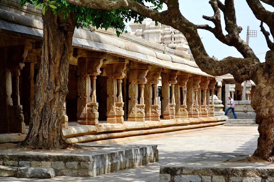Photo of Lepakshi Nandi, Lepakshi, Andhra Pradesh, India by LonelyCanopy_Art&Travel