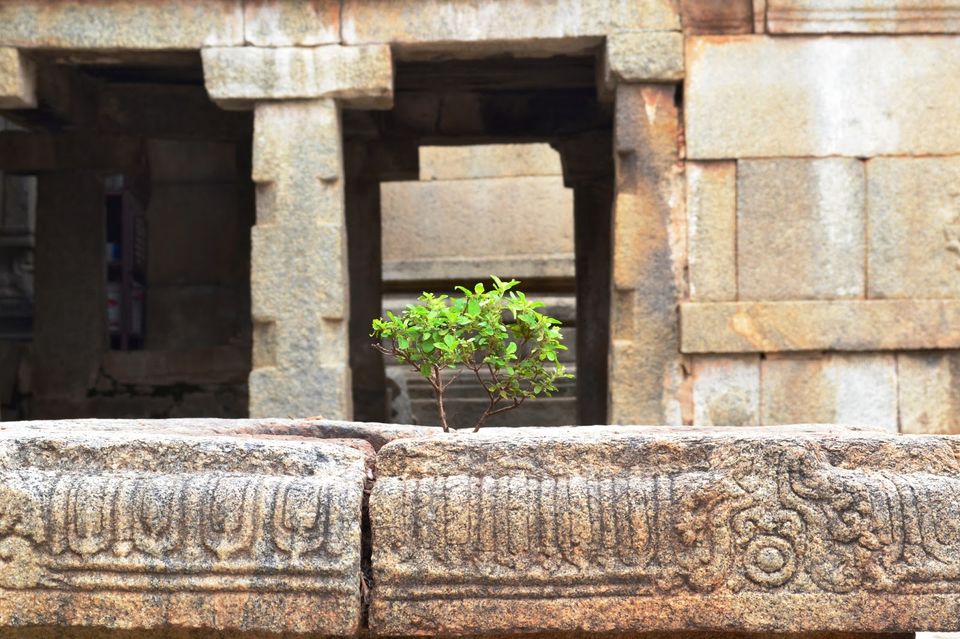 Photo of Lepakshi Nandi, Lepakshi, Andhra Pradesh, India by LonelyCanopy_Art&Travel