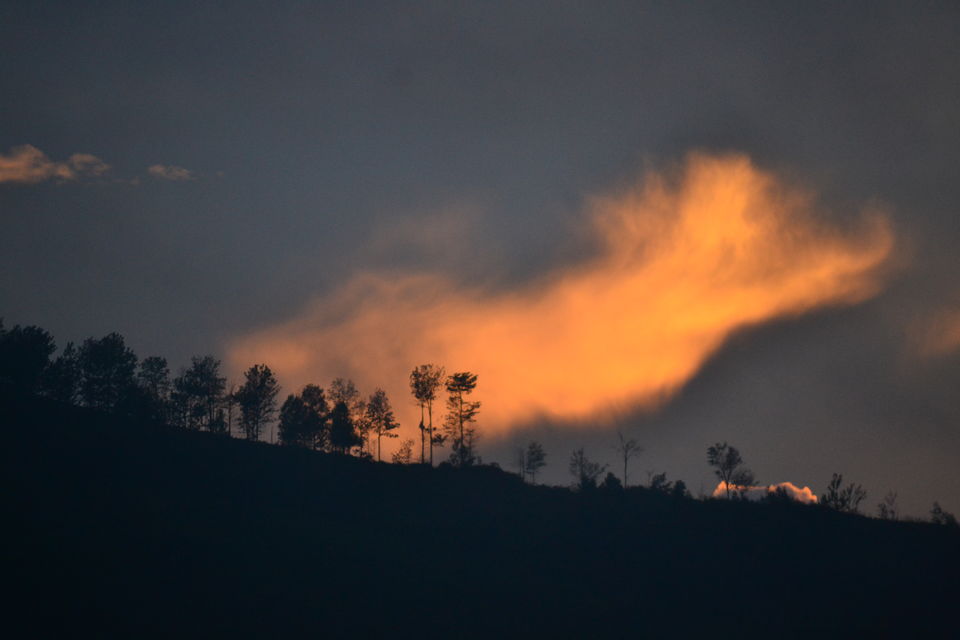 Photo of Kotagiri, Tamil Nadu, India by LonelyCanopy_Art&Travel