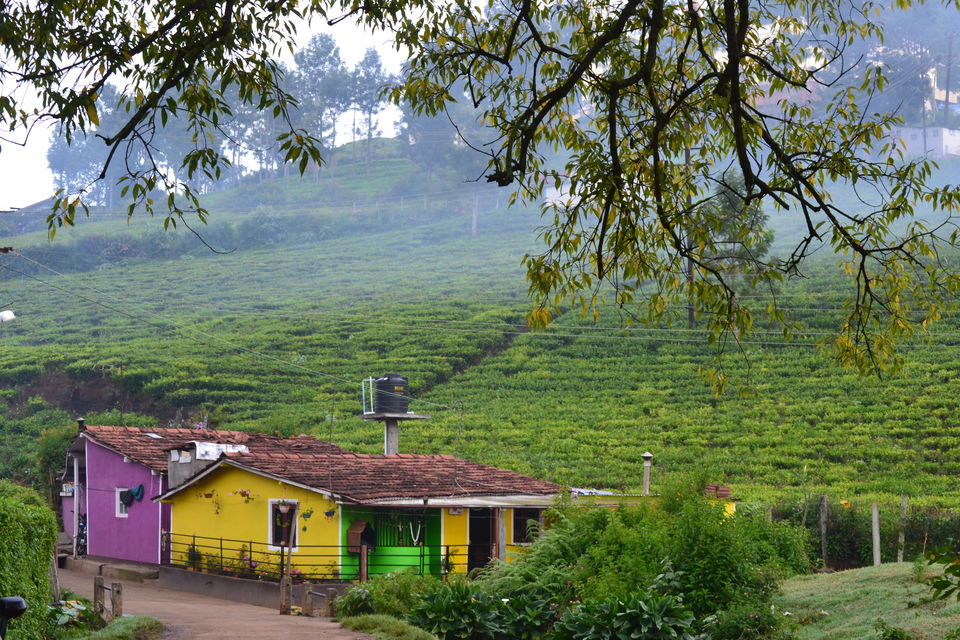 Photo of Offbeat Nilgiri - Weekend Trip to Kotagiri by LonelyCanopy_Art&Travel