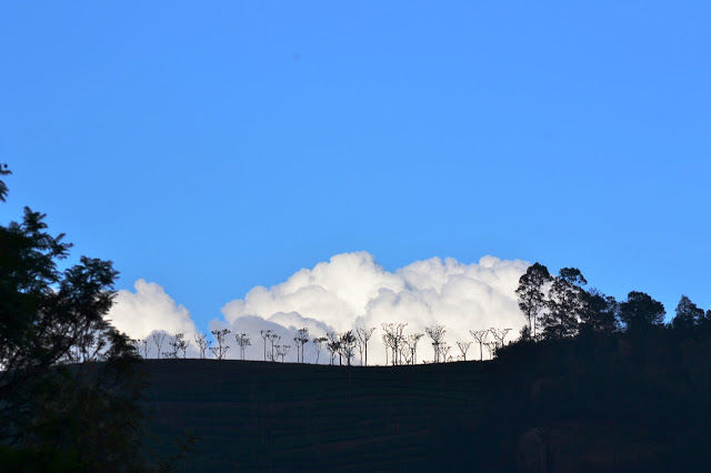 Photo of Offbeat Nilgiri - Weekend Trip to Kotagiri by LonelyCanopy_Art&Travel