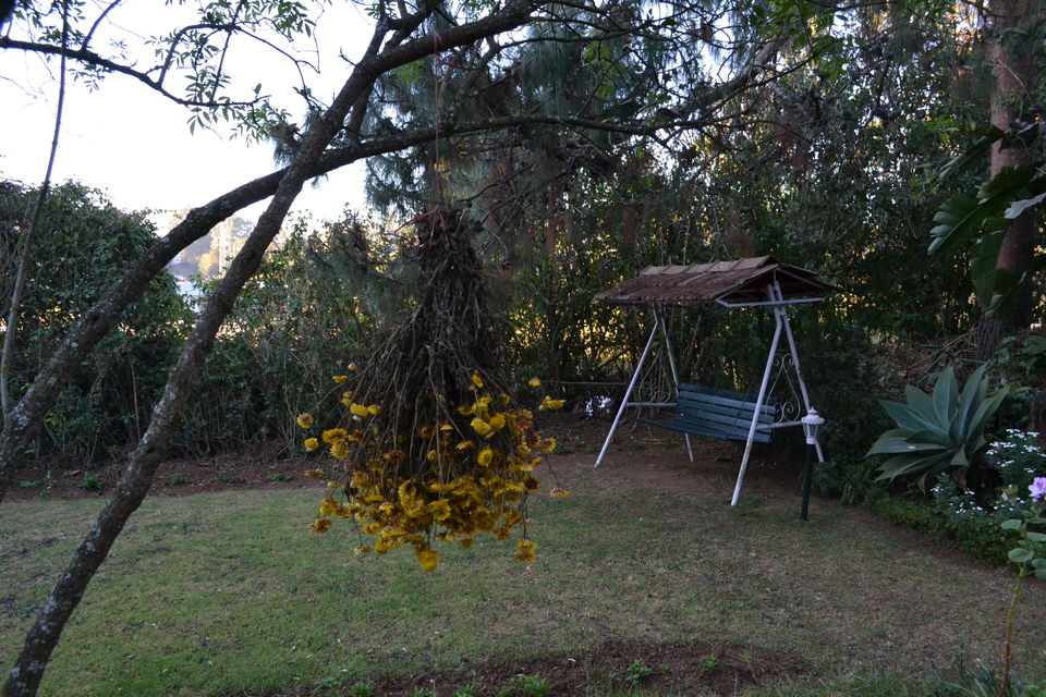 Photo of Lymond House Ooty, Sylks Road, Ooty, Tamil Nadu, India by Seema Misra