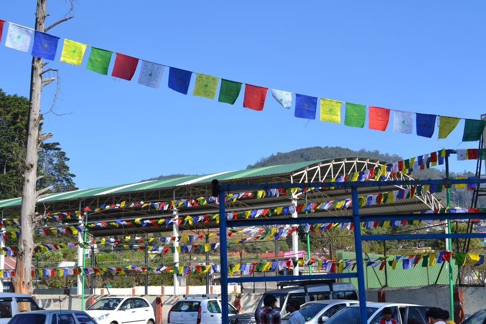Photo of Reliving the Past at Lymond House, Ooty by Seema Misra
