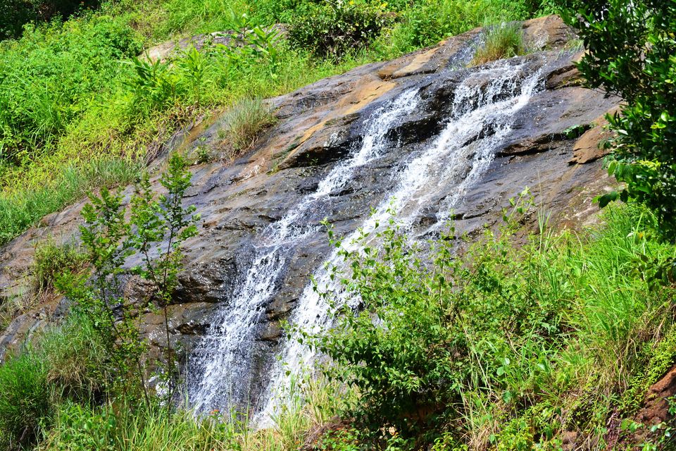 Photo of A Zen Weekend at O'land Plantation, Coonoor by LonelyCanopy_Art&Travel