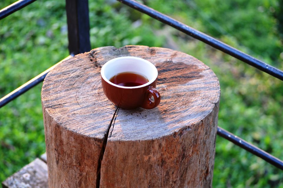 Photo of A Zen Weekend at O'land Plantation, Coonoor by LonelyCanopy_Art&Travel