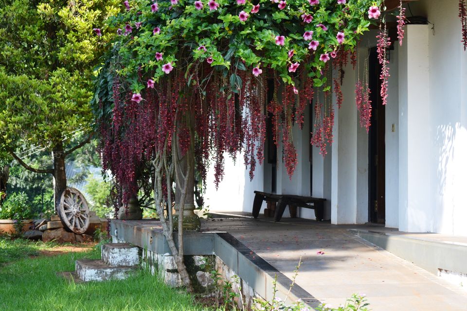 Photo of A Zen Weekend at O'land Plantation, Coonoor by LonelyCanopy_Art&Travel