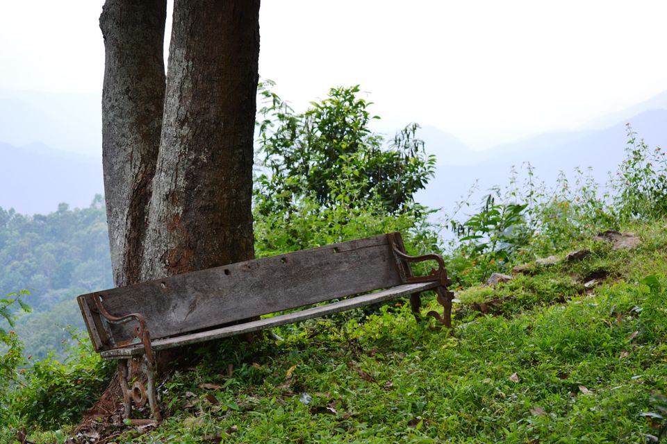 Photo of A Zen Weekend at O'land Plantation, Coonoor by LonelyCanopy_Art&Travel