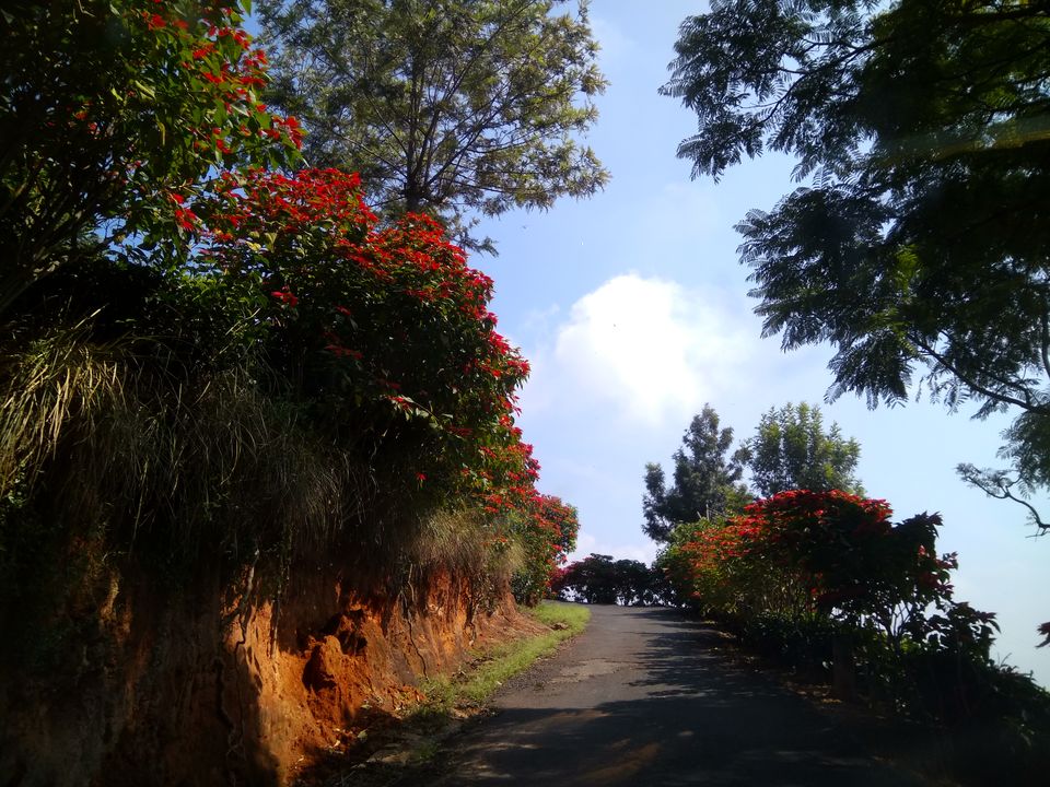 Photo of Mettupalayam, Tamil Nadu, India by LonelyCanopy_Art&Travel