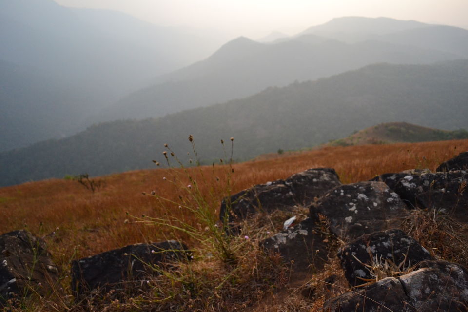 Photo of Patla Betta - Over the Hilltop #notonTripoto 1/1 by Seema Misra