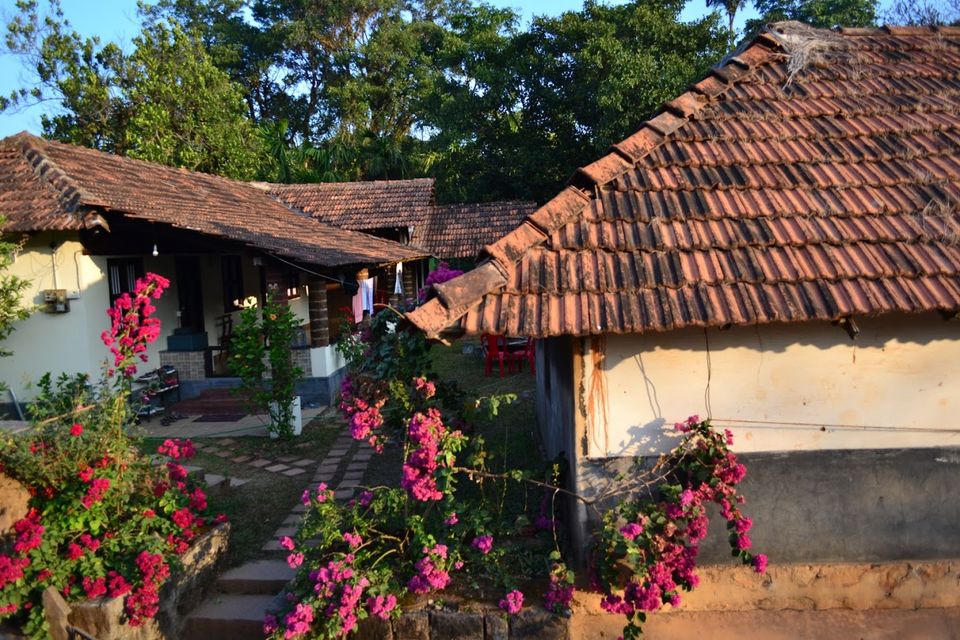Photo of Coffee, Cardamom, Campfire, and Calmness at Hema Koota by LonelyCanopy_Art&Travel